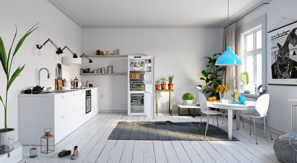 beautiful space with iio fridge